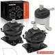 3Pcs Engine Motor Mount for Honda Passport 2019-2022 Pilot Ridgeline Acura MDX