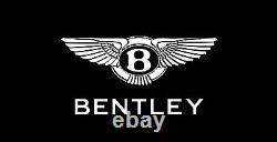 Bentley Continental Gt Gtc & Flying Spur Motor Mounts Genuine