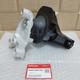 Genuine Engine Mounting Assy Fit For Honda Civic FD 1.8L 2006-2011 50820-SNA-023