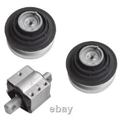 Hydraulic Engine & Transmission Mount 3Pcs Set for Mercedes Benz C230 C320 S500