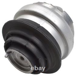 Hydraulic Engine & Transmission Mount 3Pcs Set for Mercedes Benz C230 C320 S500