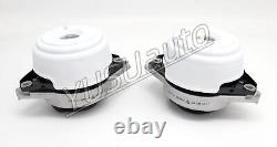 OEM Left & Right Engine Mount For Mercedes-Benz W166 GL450 C292 ML400 GLE400