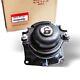 OEM NEW Rear Engine Motor Mount 50810-SZA-A02 For 2009-2015 Honda Polilt 3.5L AT